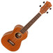 Freshman FUC Concert Ukulele