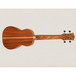 Freshman FUC Concert Ukulele