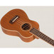 Freshman FUC Concert Ukulele