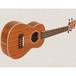 Freshman FUC Concert Ukulele