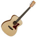 Tanglewood TW70OP Acoustic Guitar + FREE Tuner