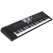 Roland BK-9 76 Note Backing Keyboard, Black