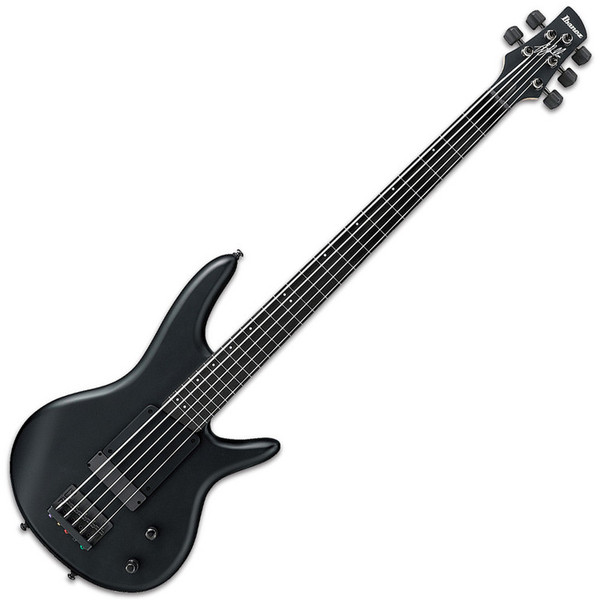 Ibanez GWB35 Gary Willis Signature Fretless 5-String Bass Guitar