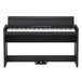 Korg LP-380 Digital Piano, Black, Open, Front