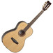 Tanglewood Grand Reserve TGRP Parlour Acoustic Guitar