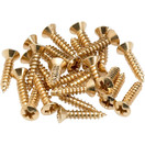 Fender Pickguard/Control Plate Mounting Screws, 24, Gold