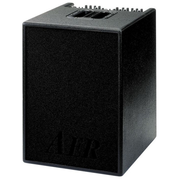 AER Basic Performer II Acoustic Bass Amp