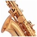 Buffet 400 Series Alto Saxophone, Lacquer