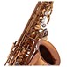 P Mauriat Grand Dreams Alto Saxophone