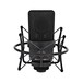 Neumann TLM 103 Studio Set Microphone, Black