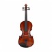 Hidersine Studenti Violin Outfit, 1/4 Size