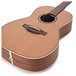 Takamine P3NY New Yorker Electro Acoustic, Natural