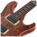 PRS Custom 24 Ltd Edition, Autumn Sky #0300158