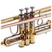 Bach TR500 Bb Trumpet, Lacquer