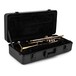 Bach TR500 Bb Trumpet, Lacquer