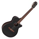 Ibanez AEG50N, Black High Gloss
