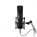 Warm Audio WA87 R2 FET Condenser Microphone, Black - Shockmount 