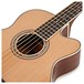 Ibanez AEB105E 5 String, Natural High Gloss