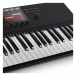 Komplete Kontrol MIDI Keyboard Controller - Detail