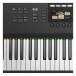 Native Instruments Komplete Kontrol S88 MK2 Keyboard - Detail