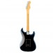 Fender American Pro II Stratocaster RW LH, Dark Night back