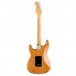 Fender American Pro II Stratocaster HSS MN, Roasted Pine - Rear View