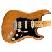 Fender American Pro II Stratocaster HSS MN, Roasted Pine - Body View