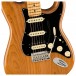 Fender American Pro II Stratocaster HSS MN, Roasted Pine - close up