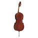 Stentor Elysia Cello, Full Size, Instrument Only