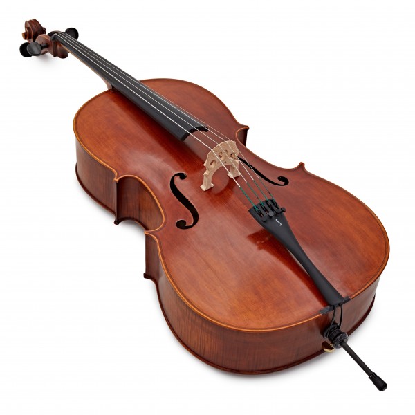 Stentor Elysia Cello, Full Size, Instrument Only