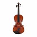 Stentor Elysia Violin, Full Size, Instrument Only