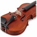 Stentor Elysia Viola, 15.5'', Instrument Only, Tailpiece