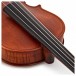 Stentor Elysia Viola, 15.5'', Instrument Only, Fingerboard