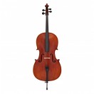 Stentor Elysia Cello, 3/4, Instrument Only