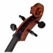 Stentor Elysia Cello, 3/4, Instrument Only, Scroll