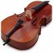 Stentor Elysia Cello, 1/2, Instrument Only, Tailpiece