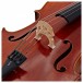 Stentor Elysia Cello, 1/2, Instrument Only, Bridge