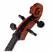 Stentor Elysia Cello, 1/2, Instrument Only, Tailpiece