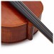 Stentor Elysia Cello, 1/2, Instrument Only, Fingerboard