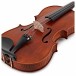 Stentor Arcadia Viola, 16'', Instrument Only, Tailpiece