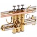 Levante by Stagg TR6315 Bb Trumpet, Nickel Silver Bell