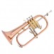 Trevor James Renaissance TJFL5500 Flugel Horn, Lacquer