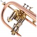 Trevor James Renaissance TJFL5500 Flugel Horn, Lacquer