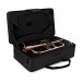 Trevor James Renaissance TJFL5500 Flugel Horn, Lacquer