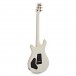 PRS DGT David Grissom, Antique White Moons #0302760