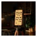 Moog Claravox Centennial Theremin - Lifestyle 3