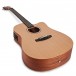 Tanglewood TWR2 DCE Roadster II Dreadnought Electro Acoustic