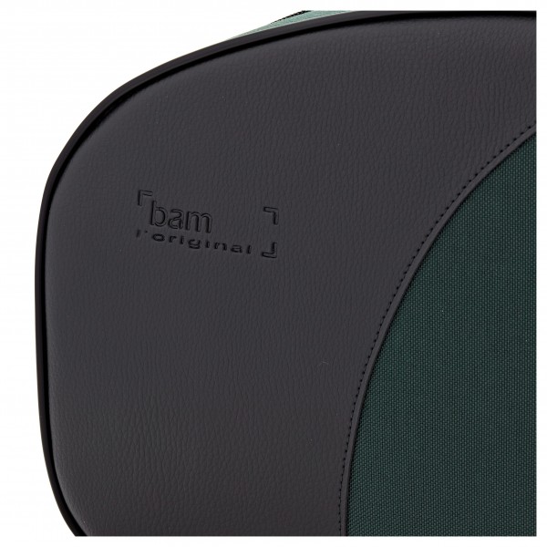 BAM 5003SV Classic III Shaped Violin Case, Forest Green