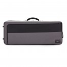 BAM 2040B Artisto Viola Case, 15,5 '', siv&eacute;