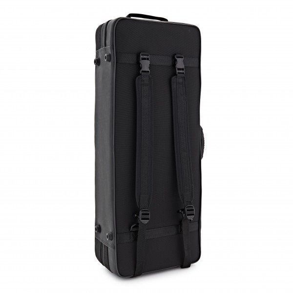 BAM 2040B Artisto Viola Case, 15.5'', Black